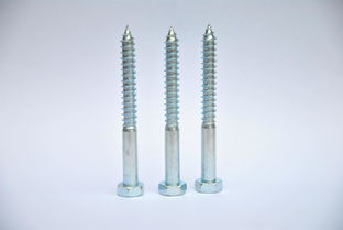 專業東莞螺絲生產廠家在廣東,陽江不銹鋼自攻螺絲釘