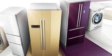 警惕消費隱患 去年進口家電不合格率近三成，選購與使用指南